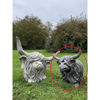 Westhighland Rind Aria